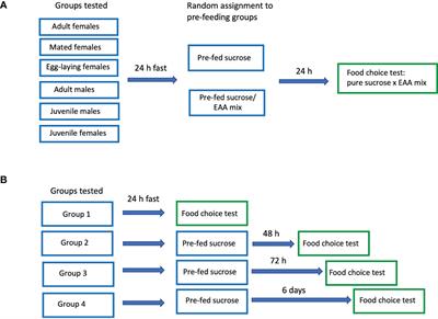 Nutritional and reproductive status affect amino acid appetite in house crickets (Acheta domesticus)
